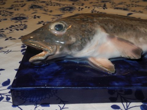 Krog Codfish