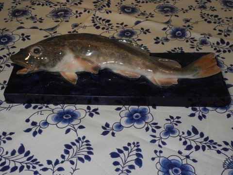 Krog Codfish