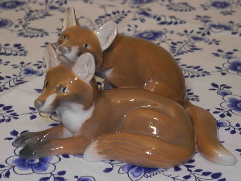Fox - pair