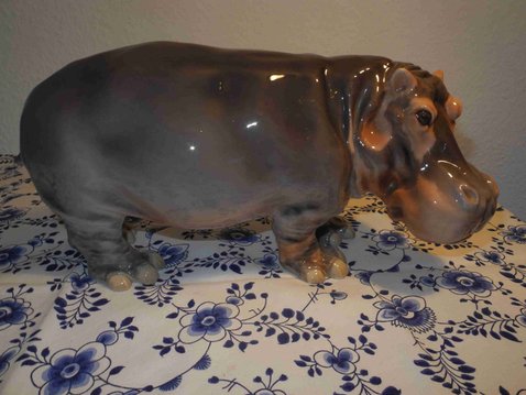 Single Hippo