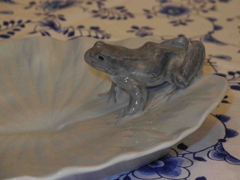 Frog on leaf  dish