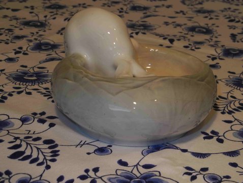 Rabbit in Cabbage Bowl
